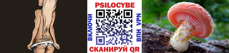 Галлюциногенные грибы Psilocybe  кракен ссылки  Солнечногорск 