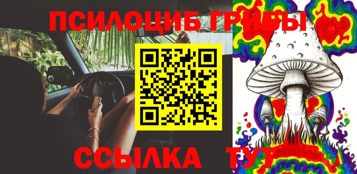 Псилоцибиновые грибы GOLDEN TEACHER  Вход с VPN  Солнечногорск 