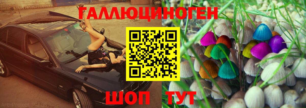 Галлюциногенные грибы GOLDEN TEACHER Солнечногорск