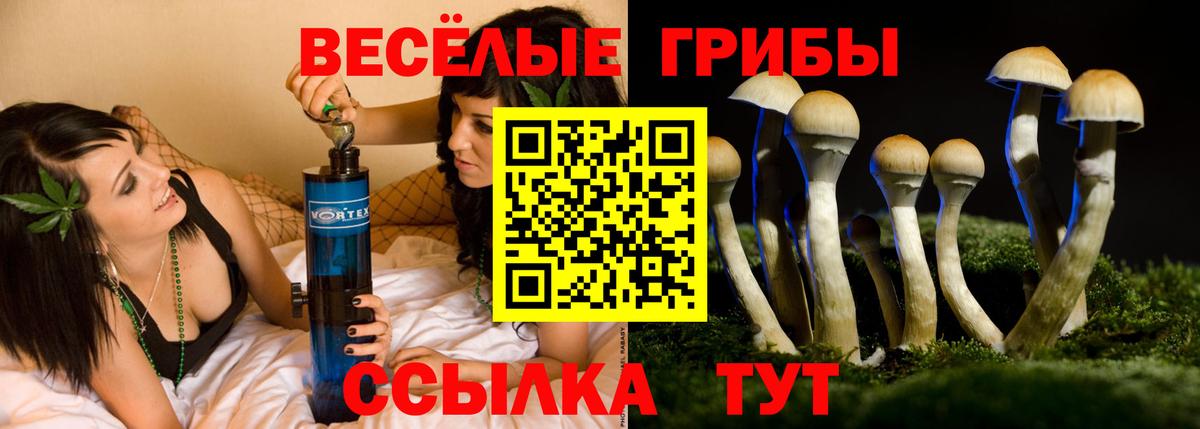 Псилоцибиновые грибы ЛСД Солнечногорск